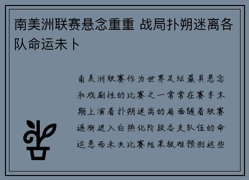 南美洲联赛悬念重重 战局扑朔迷离各队命运未卜