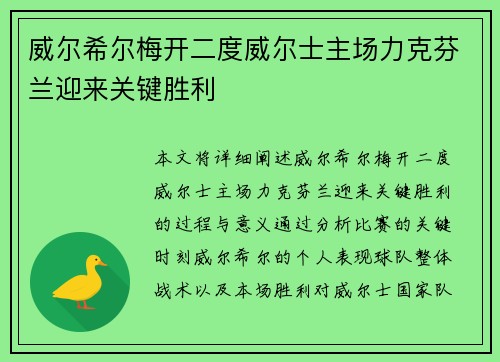 威尔希尔梅开二度威尔士主场力克芬兰迎来关键胜利